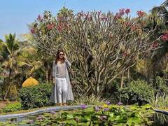 
      
      Madhuri Dixit treats fans to 'Paradise' like view in latest post
      
      