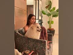 
      
      Malaika Arora treats her fans with adorable picture of pet pooch
      
      