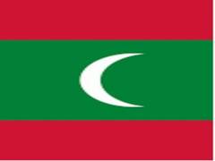 
      
      Long-missing Maldivian journalist killed by former al-Qaeda...
      
      
