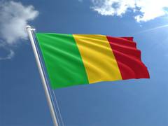
    Malian constitutional court declares Vice President Assimi Goita as Interim President
    