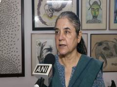 
      
      Maneka Gandhi targets Rahul for 'no action' against elephant...
      
      