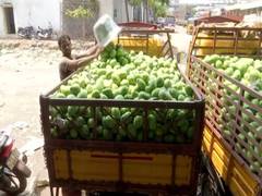
      
      COVID-19 crisis hits sale and supply of mangoes in Hyderabad 
      
      