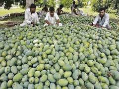 
      
      US, China decline Pakistan's 'Mango diplomacy', sends back...
      
      