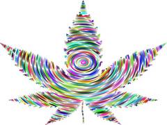 
      
      Women cannabis users underrepresented in health research: Study
      
      