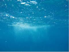 
      
      India, Australia, and Singapore to jointly address marine...
      
      