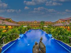 
      
      Mayfair Tea Resort, pioneers the country's first ever...
      
      