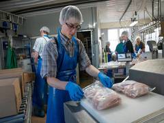 
      
      269 meatpacking workers die of COVID-19, US House report shows
      
      