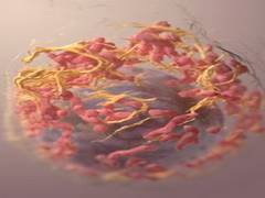 
      
      Cases of melanoma caused by UV exposure vary widely in...
      
      