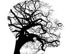 
      
      Physician psychotherapy not open to people with urgent mental...
      
      