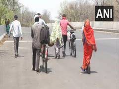 
      
      Bihar govt nominates nodal officers to coordinate with...
      
      
