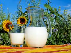 
      
      Study finds whole fat dairy as good as low fat for kids
      
      