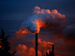 
      
      Toxic pollution, climate risks directly harm human health,...
      
      