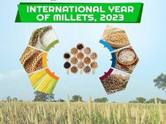 
      
      Honoured to be at forefront of popularising millets: PM Modi...
      
      