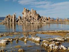 
      
      High phosphorus lakes might be source of all life: Study
      
      