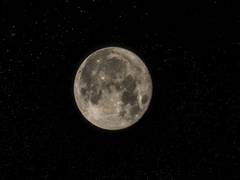 
      
      Study reveals new explanation for Moon's half-century...
      
      