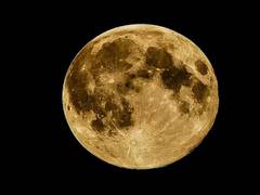 
      
      Moons may yield clues to what makes planets habitable, says study
      
      