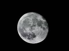 
      
      Scientists analyse first fresh samples from moon in more than...
      
      