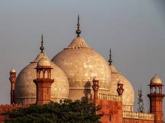 
      
      Mosques to remain open in Pakistan despite surging virus threat
      
      