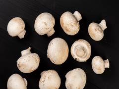 
      
      Consumption of mushrooms reduces prostate cancer risk: Study
      
      