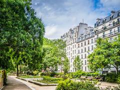 
    Report highlights nature-based solutions to mitigate climate change
    