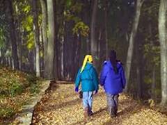 
      
      Spending two hours a week in nature may boost health
      
      