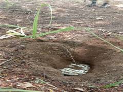 
      
      7 IEDs planted by Naxals recovered in Sukma 
      
      