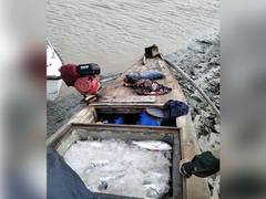 
      
      BSF apprehends one more Pakistani fisherman
      
      