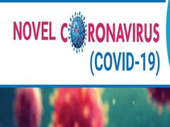 
      
      Coronavirus cases in Israel surge past 11,000
      
      