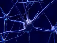 
      
      Scientists develop tiny, wireless, battery-free device to...
      
      