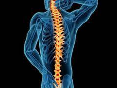 
      
      Researchers develop stimulators that could aid spinal cord,...
      
      