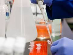 
      
      Study sheds light on potential allergic reactions of...
      
      