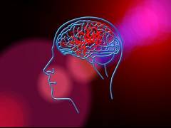 
      
      Stem cell stimulation may improve stroke treatment
      
      