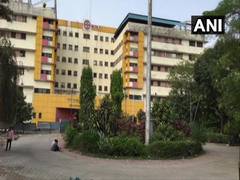 
      
      Rats nibble newborn's toe, heel in Indore hospital  
      
      