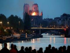 
      
      Only bees survived devastating Notre Dame fire 
      
      