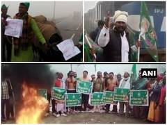 
      
      Bihar Bandh: RJD supporters use buffalo to block highway in...
      
      