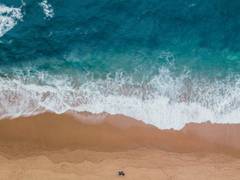 
      
      Scientists discover twenty-four trillion pieces of...
      
      