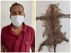
      
      Special Task Force arrests wildlife criminal, recovers...
      
      