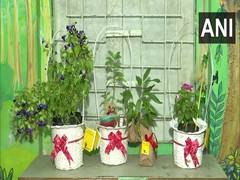 
      
      This Diwali, gift plants - Bhubaneswar organisation runs...
      
      