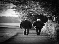 
      
      Vitamin D raises chances of walking in elderly people after...
      
      