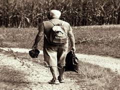 
      
      Light-intensity physical activity promotes longevity in older...
      
      