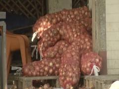 
      
      Consumers prefer homegrown over imported onions in Delhi 
      
      