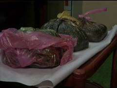 
      
      Ludhiana: Police seizes 5.5 kg opium from a person 
      
      