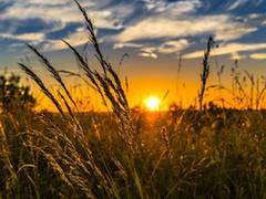 
      
      Ludhiana DC Varinder Kumar Sharma urges farmers to sell paddy...
      
      