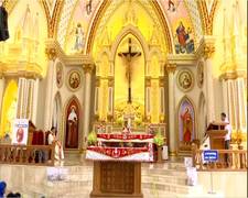 
    Christians celebrate Palm Sunday
    