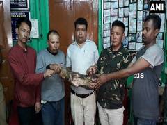 
      
      West Bengal: Forest officials arrest 5 people for smuggling...
      
      