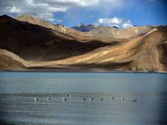 
      
      Chinese bridge on Pangong Lake being built in area occupied...
      
      