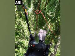 
      
      Korean national missing from Kangra after paragliding illicitly
      
      