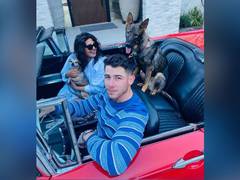 
      
      'Miss My Boys', says Priyanka Chopra as she shares adorable...
      
      