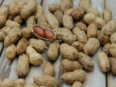 
      
      Study finds peanuts may lower cardiovascular disease risk...
      
      