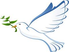 
      
      Over 1 million participate in virtual event on World Peace Day
      
      